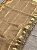 Paramparik Jari Golden Banarasi Silk Saree - RV Couture 24