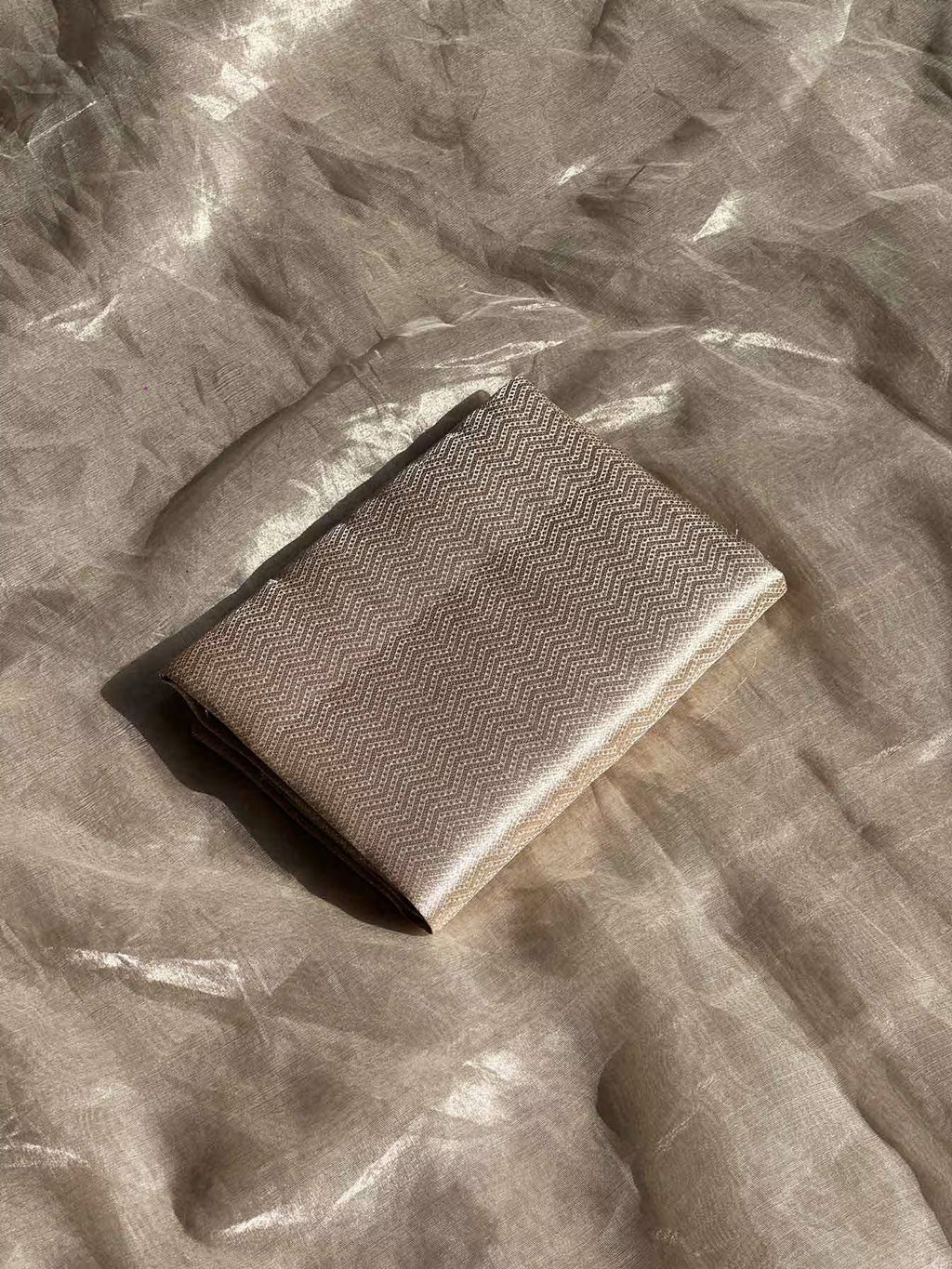 Paramparik Jari Silver Banarasi Silk Saree - RV Couture 24