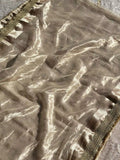 Paramparik Jari Silver Banarasi Silk Saree - RV Couture 24